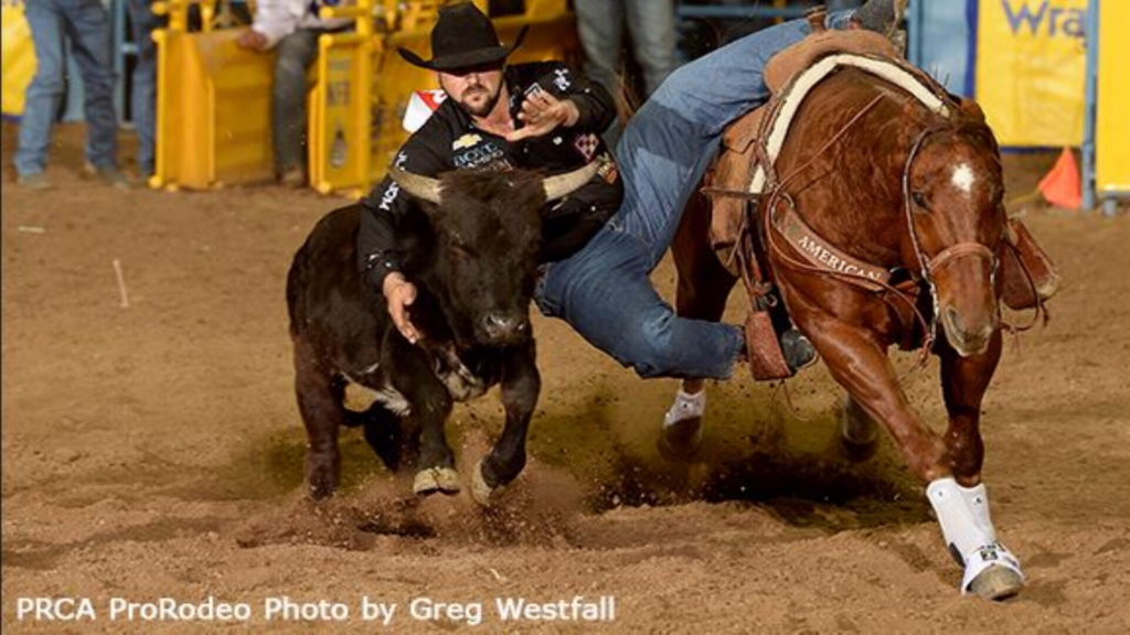 steer wrestling injuries